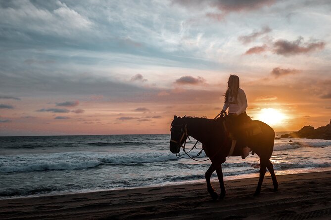Los Cabos ATV and Pacific Horseback Riding Combo Tour - Guides, Group Size, and the Comfort Factor