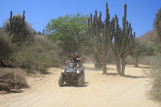 Los Cabos Beach & Desert Tour in Automatic ATV + Tequila Tasting - Tequila Tasting: Included, Fun, and Timing Matters