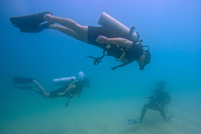 Los Cabos Beginner Scuba Dive Experience - Key Highlights You’ll Actually Feel During the Session