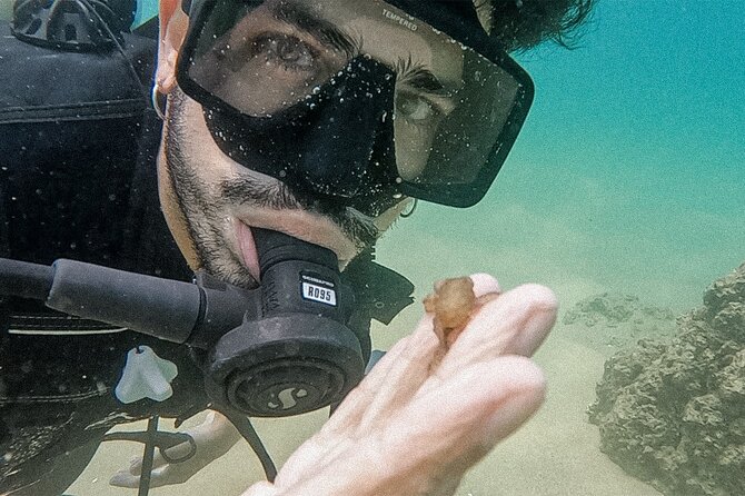 Los Cabos Beginner Scuba Dive Experience - Dock Fee, Park Fee, and How to Budget Without Getting Surprised
