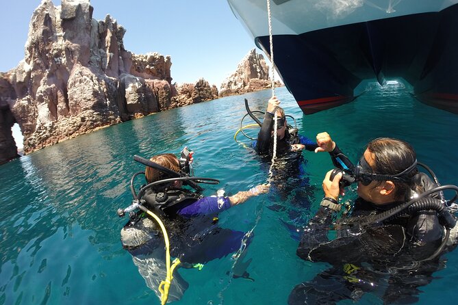 Los Cabos Beginner Scuba Dive Experience - Getting There and Getting Back: Simple Transport Advice