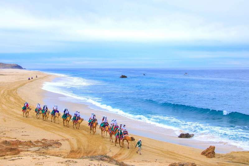 Los Cabos: Camel Ride Safari with Lunch and Tequila Tasting - Lunch and flavored water: what you get, and why it fits the day
