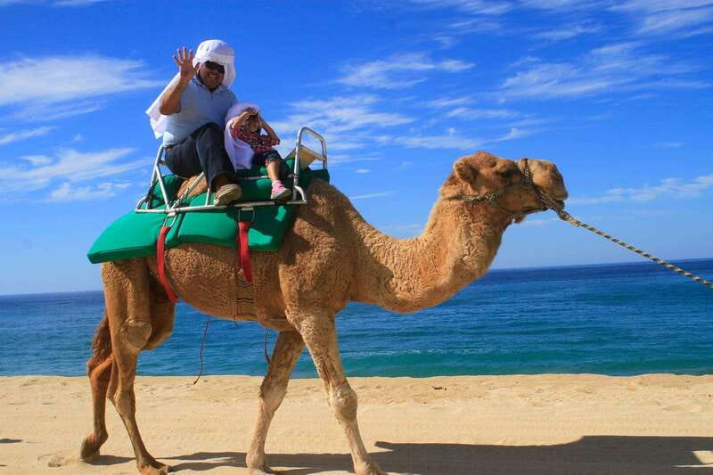 Los Cabos: Camel Ride Safari with Lunch and Tequila Tasting - Tequila tasting: history, production, and learning to sip the right way