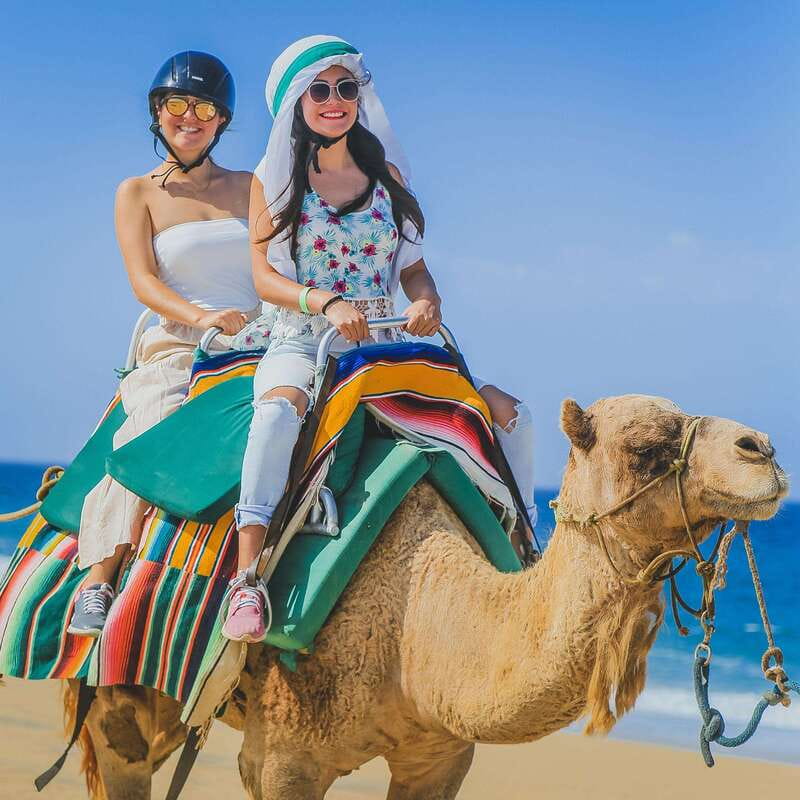 Los Cabos: Camel Ride Safari with Lunch and Tequila Tasting - Price and value: is $140 per person fair for this mix?