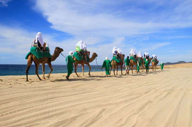 Los Cabos: Camel Ride Safari with Lunch and Tequila Tasting - Small group, camera ban, and other details that affect your comfort
