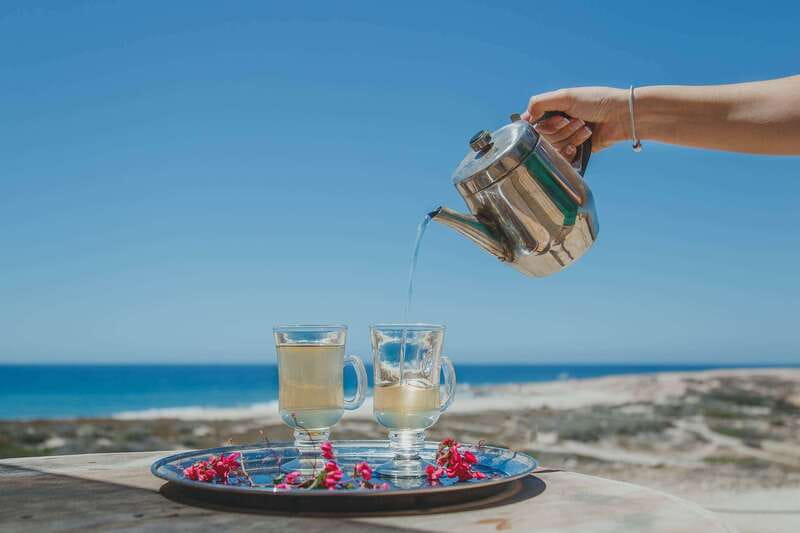 Los Cabos: Camel Ride Safari with Lunch and Tequila Tasting - Who this Los Cabos tour suits best, and who should skip it