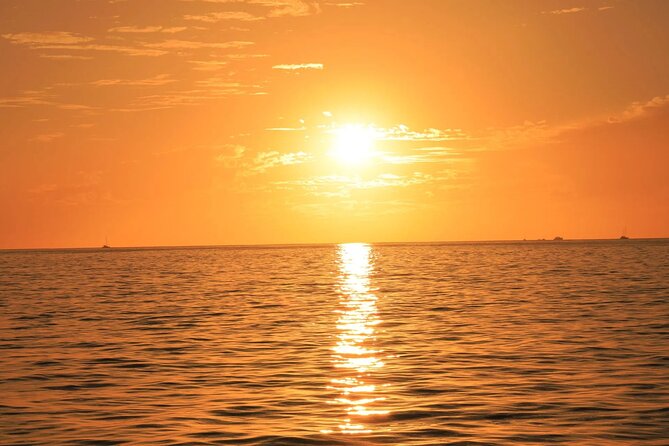 Los Cabos Catamaran Cruise with Open Bar & Light Snack - Los Arcos, possible whale sightings, and the calm between stops