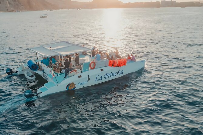 Los Cabos Catamaran Cruise with Open Bar & Light Snack - Getting started at Luxury Avenue Los Cabos Marina side