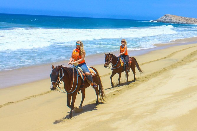 Los Cabos - COMBO Horseback Riding & ATV Tour - Tour Adventures Park: gear, White Lions, and the first safety steps