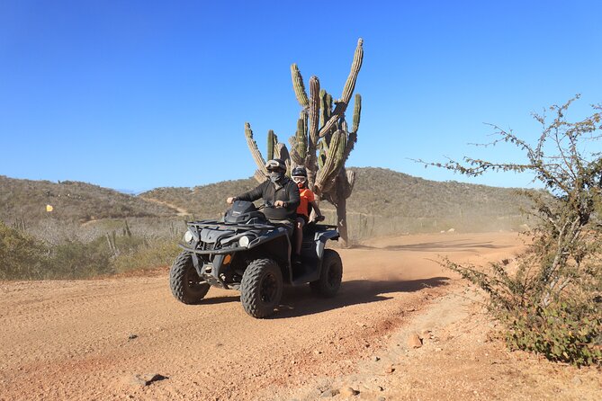 Los Cabos - COMBO Horseback Riding & ATV Tour - Tequila tasting and buffet: eating like a local after the dust