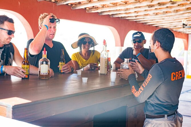 Los Cabos Costa Azul Zipline Eco-Adventure - Racing cables, the suspension bridge, and Tarzan Swing for younger thrill-seekers