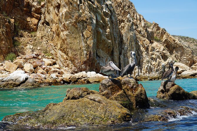 Los Cabos Deluxe City Tour: San Jose, San Lucas and The Arch - Plaza Mijares in San Jose del Cabo: The Historic District Finish