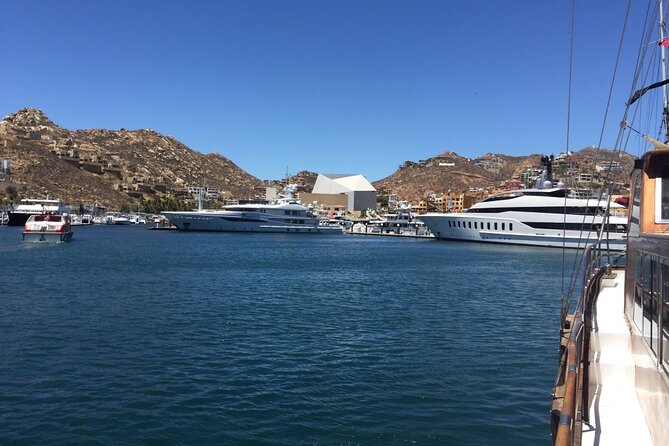 Los Cabos Half-Day Tour Discovering San Jose and San Lucas - Plaza Amelia Wilkes and Cabo San Lucas Downtown Time