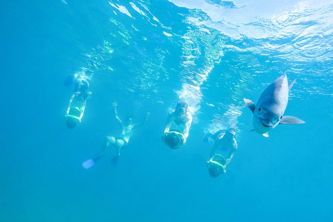 Los Cabos Power snorkel Adventure, Kayaking and Stand-Up Paddle - Key highlights to know