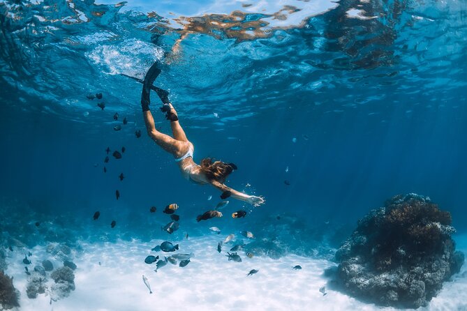 Los Cabos Power snorkel Adventure, Kayaking and Stand-Up Paddle - Los Cabos water time in about 3 hours