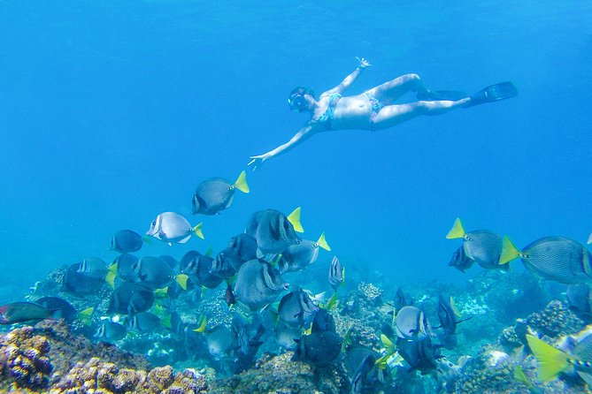 Los Cabos Power snorkel Adventure, Kayaking and Stand-Up Paddle - Power snorkel, sea scooters, and your activity choices on the water