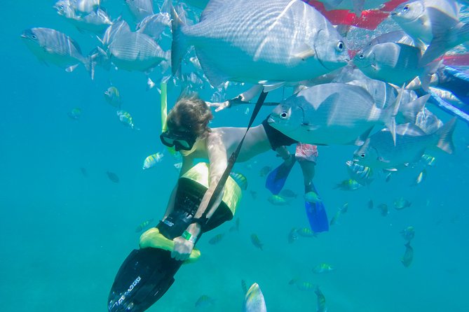 Los Cabos Power snorkel Adventure, Kayaking and Stand-Up Paddle - Snorkeling gear, life jackets, and a few “do this” tips