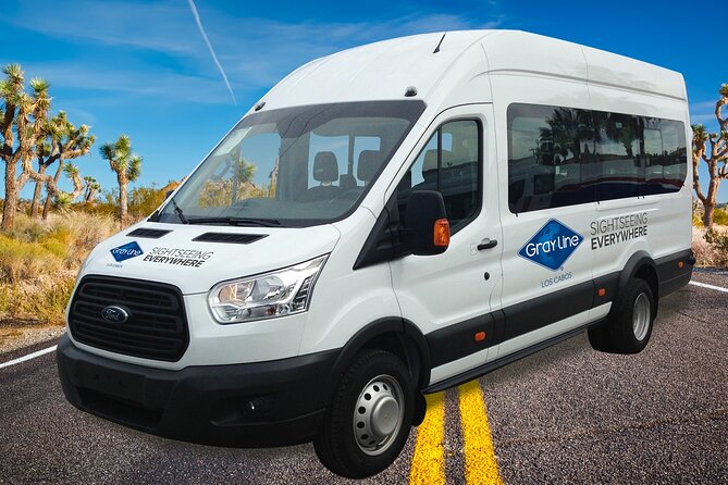 Los Cabos Private Mini-van Round-Trip Transfer - Pickup at SJD: What Happens After Customs