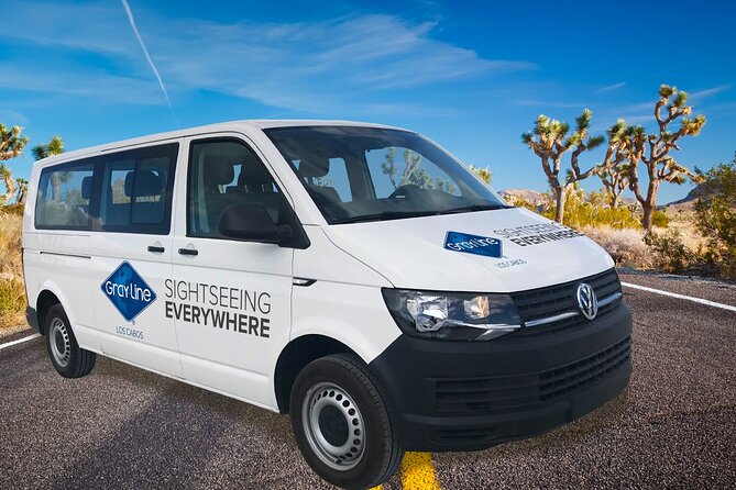 Los Cabos Private Mini-van Round-Trip Transfer - Who This Transfer Suits Best (And Who Should Rethink It)