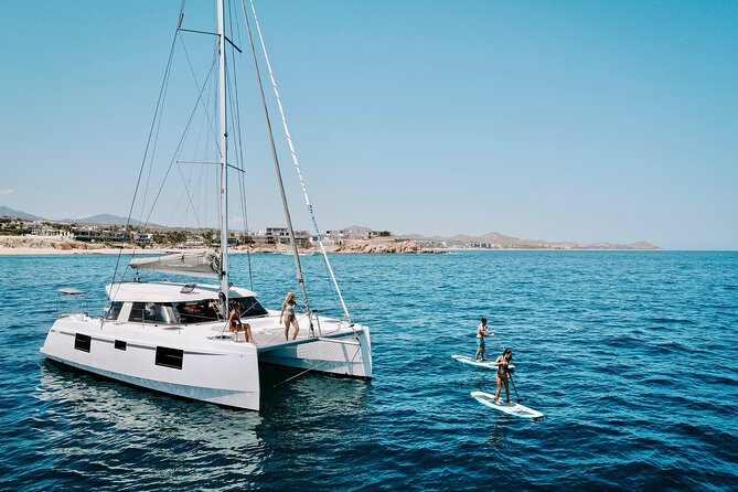 Los Cabos Seasonal Whale Watch and Snorkel Tour - Key Highlights You’ll Actually Feel