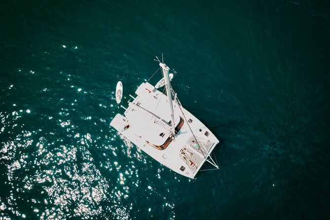 Los Cabos Seasonal Whale Watch and Snorkel Tour - On Board the Albatros Los Cabos Sailaway Catamaran (Up to 16 People)