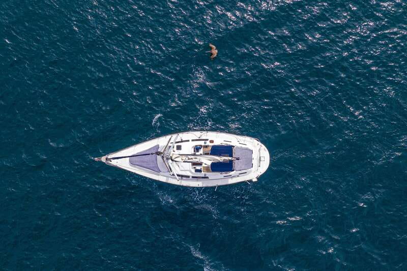 Los Cabos: Shared Sunset Sailing Cruise - Whale watching: included, and sometimes you get lucky