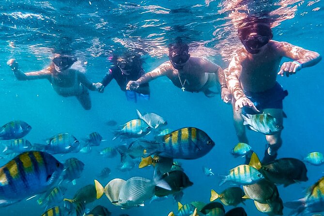 Los Cabos Snorkeling Tour by Speed Boat with Photos Included - Key Things I’d Watch For Before You Go