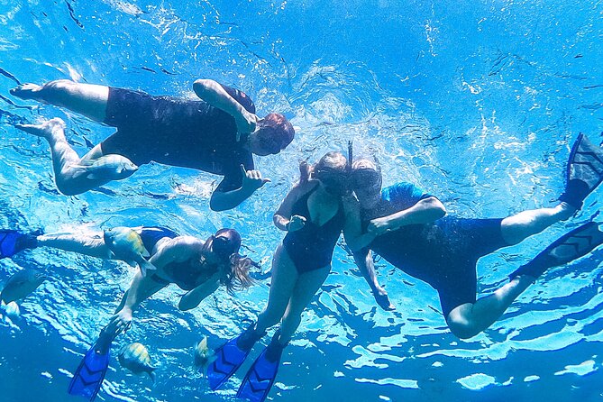 Los Cabos Snorkeling Tour by Speed Boat with Photos Included - What you might see under the surface: reef fish, rays, turtles, and more