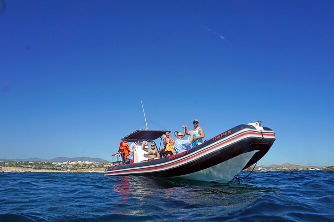 Los Cabos Snorkeling Tour by Speed Boat with Photos Included - Photos and videos included: the part you will actually use later