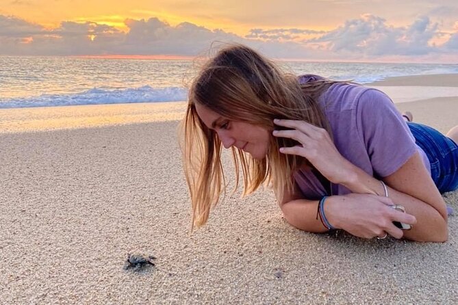 Los Cabos turtle release conservation program - What to Bring (and What You Can Skip)