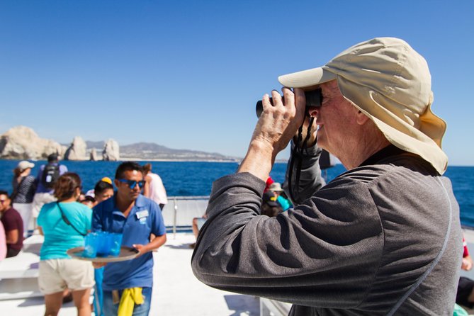 Los Cabos Whale Watching Cruise Including Breakfast - So, Will You Actually See Whales? Yes, But With Real-World Details