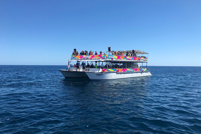 Los Cabos Whale Watching Cruise Including Breakfast - Price and Value: Is $99 a Smart Deal?