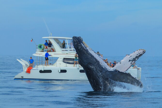 Luxury Catamaran Whale Watching Cabo San Lucas - Stop 1: The Arch of Cabo San Lucas and the sea lion colony