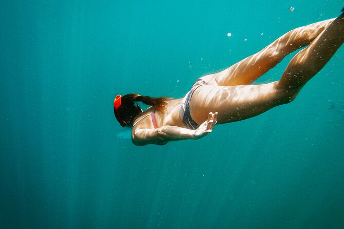 Luxury Snorkel Adventure in Cabo - Luxury Snorkel Adventure: the small-group catamaran mindset in Cabo