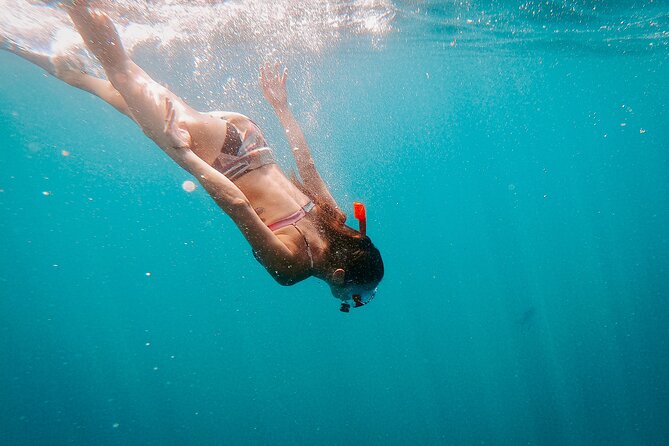 Luxury Snorkel Adventure in Cabo - Price and value: is $149 fair for Cabo snorkeling with an open bar?