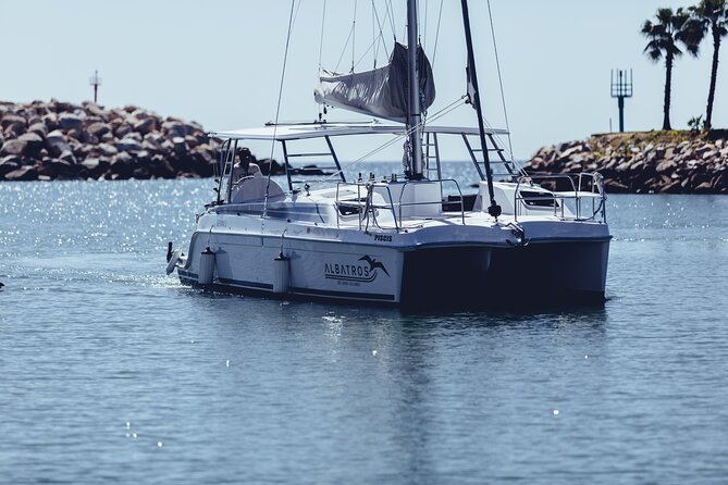 Luxury Snorkel Adventure in Cabo - Who should book this luxury Cabo catamaran snorkeling trip?