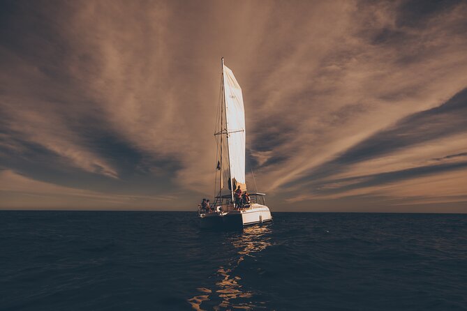 Luxury Whale Watch Cruise to The Arch Los Cabos - The Boat Experience: Comfort, Space, and Sea-State Reality