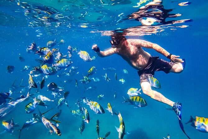 Luxury Yacht & Snorkel with All inclusive Open bar and lunch - The sights from the water: Los Arcos, the Malecón, and whale sightings