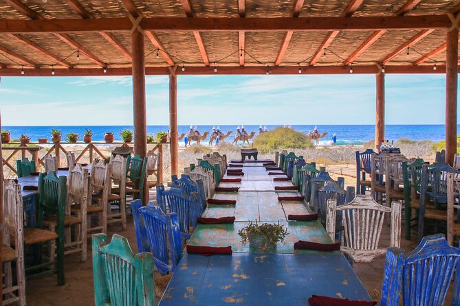 Magical Todos Santos Tour, Camel Ranch, Lunch and Tequila - Is it good value for $89.25?