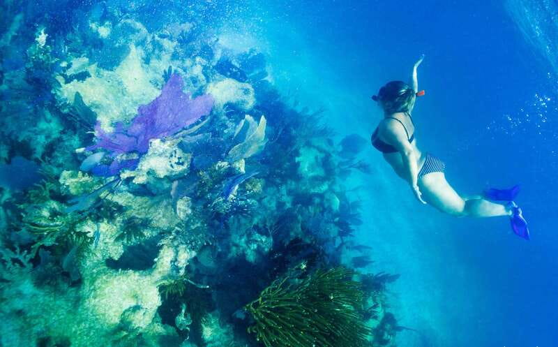 Mahahual: Snorkel Tour in Reef Lagoon - A Quick Taste of Mahahual Reef Lagoon Snorkeling