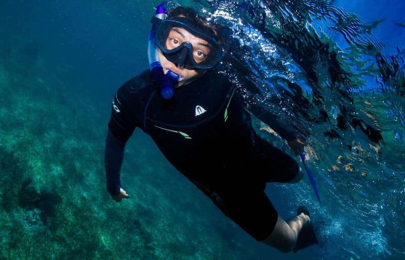 Mahahual: Snorkel Tour in Reef Lagoon - Group Size, Language, and the Guide Factor