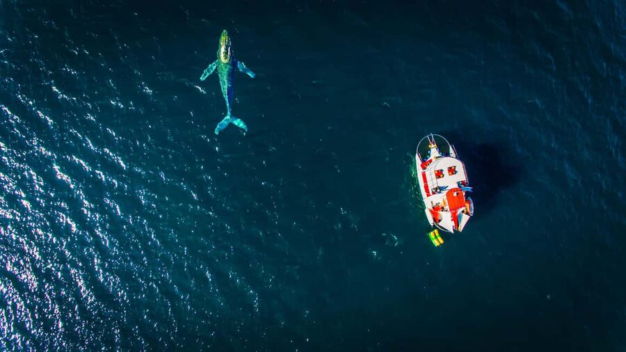 Marietas Islands Boat Tour: Snorkel, Kayak, Playa Nopalera - Key highlights that make this tour worth your time