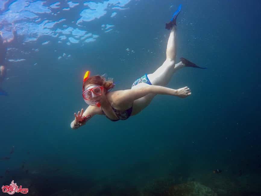Marietas Islands Boat Tour: Snorkel, Kayak, Playa Nopalera - Getting to the reserve: guided swim time and what Playa La Nopalera feels like