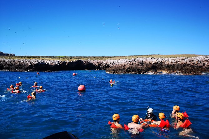 Marietas Islands Snorkel Tour & Hidden Beach - Snorkeling gear, life vests, and how you’ll be guided in the water