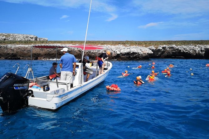 Marietas Islands Snorkel Tour & Hidden Beach - Price and what you truly get for $99