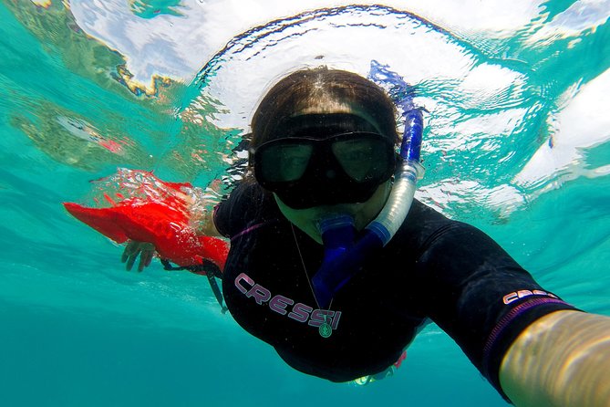 Marietas Islands snorkeling & Hidden beach (w/ restrictions) - Marina Vallarta check-in: quick start, clear expectations