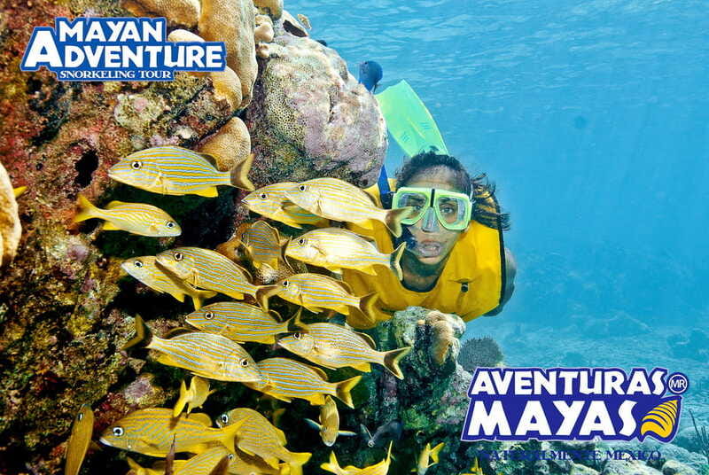Mayan Adventure - 3 different snorkeling sites in one day! - How the Day Flows From Hotel Pickup to Drop-Off