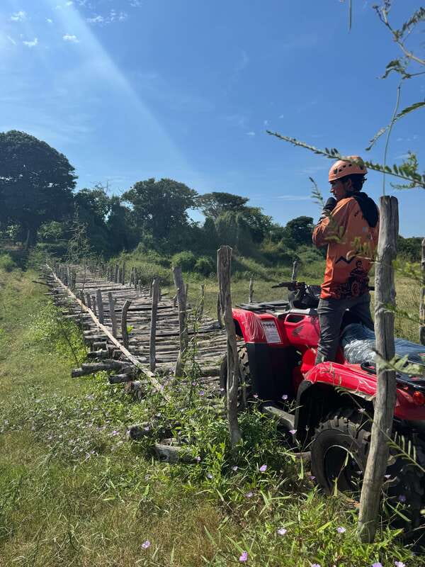 Mazatlán: Beach & Jungle ATV Tour w/ Lunch & Tequila Tasting - The Beach and Jungle-Style Ride: What You’ll Actually Feel