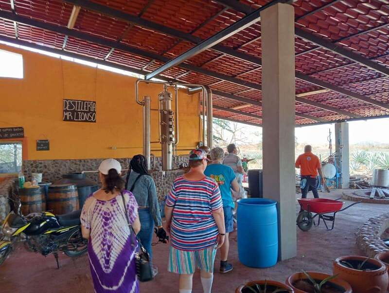 Mazatlán: Beach & Jungle ATV Tour w/ Lunch & Tequila Tasting - Traditional Village Time: Learning Without Turning It Into School