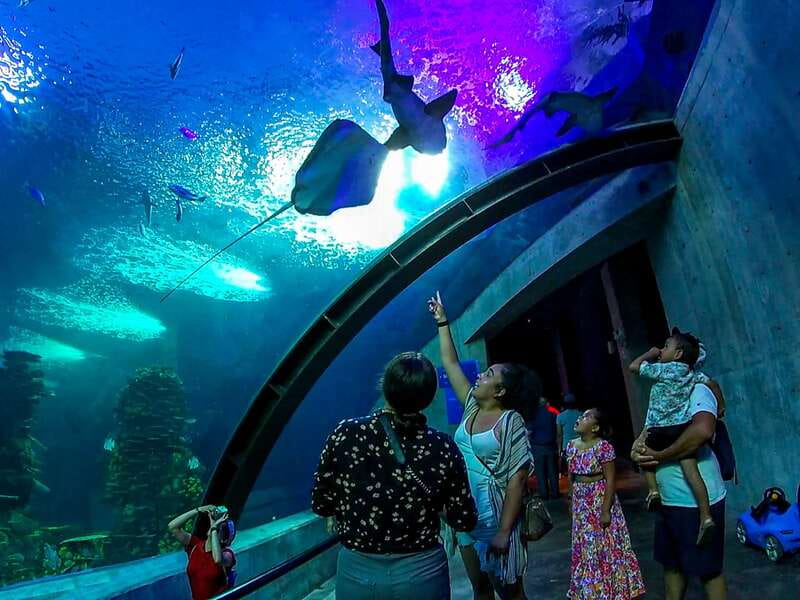 Mazatlan: Grand Aquarium Ticket and City Sightseeing Tour - How the half-day runs: pickup, open-air ride, aquarium first